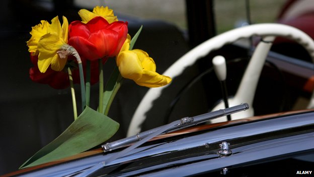 Flowers in car